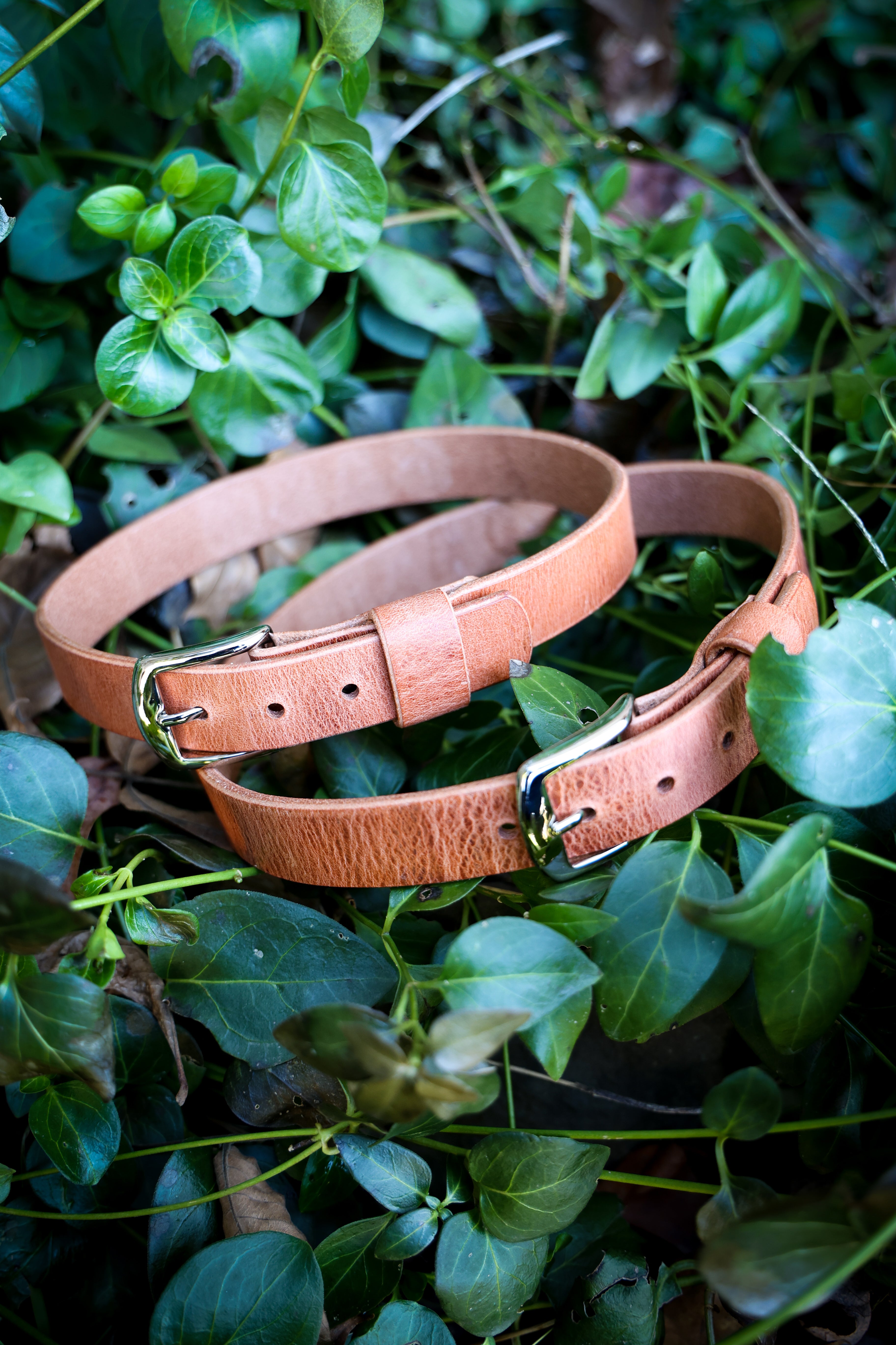 HO OLD WORLD HARNESS LEATHER BELTS